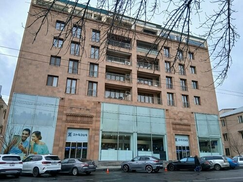 Residential and Public Building with Zigzag Showroom